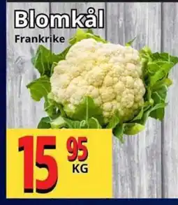 Supergrossen Blomkål erbjuda
