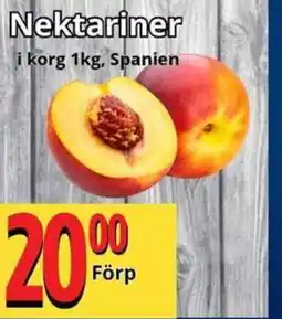 Supergrossen Nektariner erbjuda