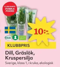Dill, gräslök, kruspersilja