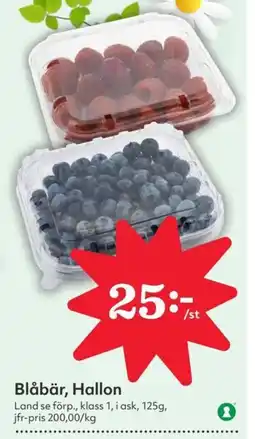 Östenssons Blåbär, hallon erbjuda