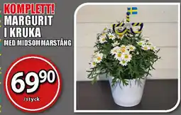 Extra Mjällby Stormarknad Margurit i kruka erbjuda