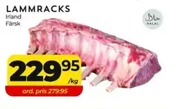 Lammracks
