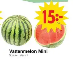 Matöppet Vattenmelon Mini erbjuda