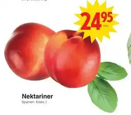 Matöppet Nektariner erbjuda
