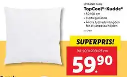 Lidl TopCool -Kudde erbjuda