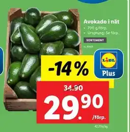 Lidl Avokado i nät erbjuda
