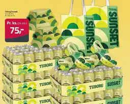 Fleggaard TUBORG Sunset erbjuda