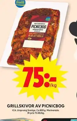 ICA Maxi Grillskivor av picnicbog erbjuda