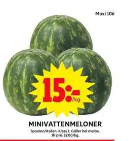 ICA Maxi Minivattenmeloner erbjuda