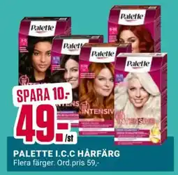 ÖoB PALETTE I.C.C HÅRFÄRG erbjuda