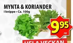 Matvärlden Tensta MYNTA & KORIANDER erbjuda