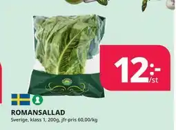 Tempo ROMANSALLAD erbjuda