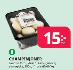 Tempo CHAMPINJONER erbjuda