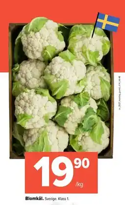 Coop Extra Blomkål erbjuda