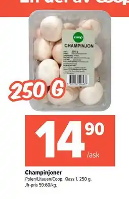 Coop Extra Champinjoner erbjuda