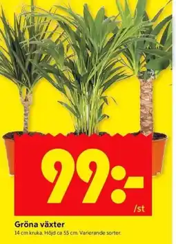 ICA Kvantum Gröna växter erbjuda