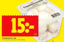 ICA Kvantum Champinjoner i ask erbjuda