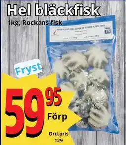 Supergrossen Hel bläckfisk erbjuda