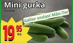 Supergrossen Mini gurka erbjuda