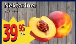 Supergrossen Nektariner erbjuda