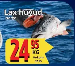 Supergrossen Lax huvud erbjuda