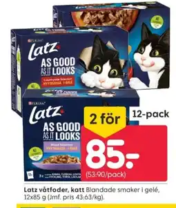 Rusta Latz våtfoder, katt erbjuda