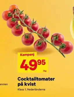 City Gross Cocktailtomater på kvist erbjuda