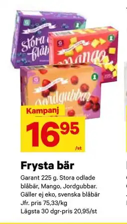 City Gross Frysta bär erbjuda