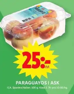 ICA Maxi ICA Paraguayos i ask erbjuda