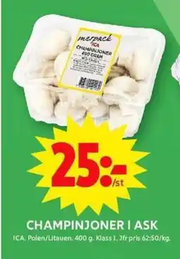 ICA Maxi ICA Champinjoner i ask erbjuda