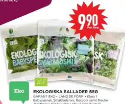 Willys EKOLOGISKA SALLADER 65G erbjuda