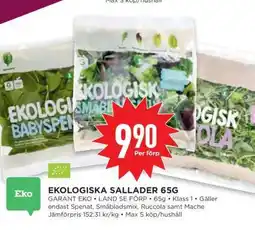 Willys EKOLIGISKA SALLADER 65G erbjuda