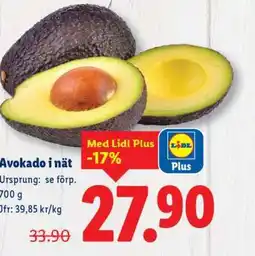 Lidl Avokado i nät erbjuda