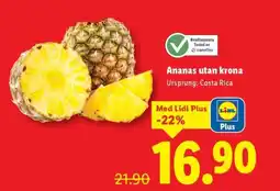 Lidl Ananas utan krona erbjuda