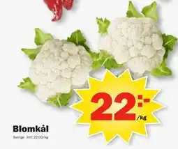 Pekås Blomkål erbjuda