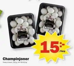 Pekås Champinjoner erbjuda