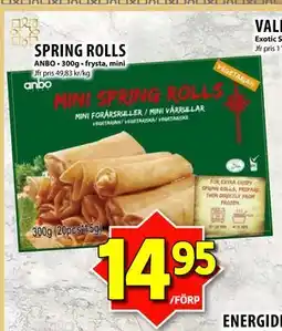 Matvärlden Tensta SPRING ROLLS erbjuda