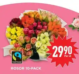 Willys Hemma ROSOR 10-PACK erbjuda