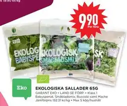 Willys Hemma EKOLOGISKA SALLADER 65G erbjuda