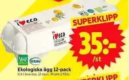 ICA Supermarket ICA Ekologiska ägg 12-pack erbjuda