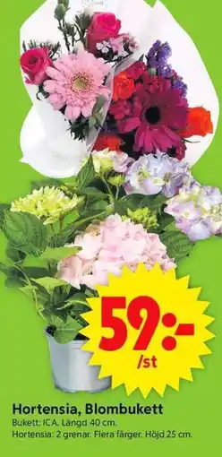 ICA Supermarket Hortensia, blombukett erbjuda