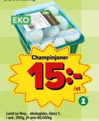 Champinjoner 250g