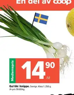 Coop Extra Gul lök i knippe erbjuda
