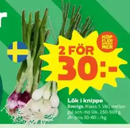 Stora Coop Lök i knippe erbjuda