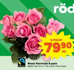 Stora Coop Rosor Fairtrade 9-pack erbjuda