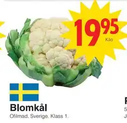 Matöppet Blomkål erbjuda