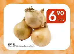 Snabbgross Gul lök erbjuda