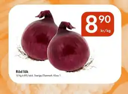 Snabbgross Röd lök erbjuda