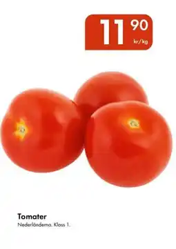 Snabbgross Tomater erbjuda