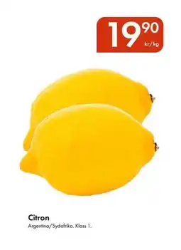 Snabbgross Citron erbjuda